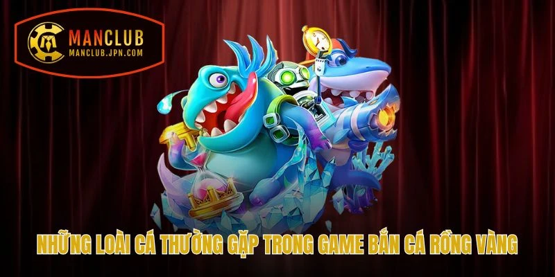 Những loài cá thường gặp trong game Bắn Cá Rồng Vàng tại Manclub